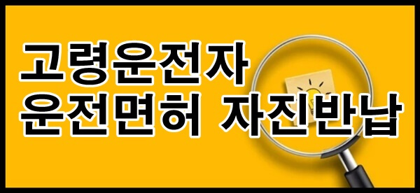 서울시 고령운전자 운전면허 반납 지원사업